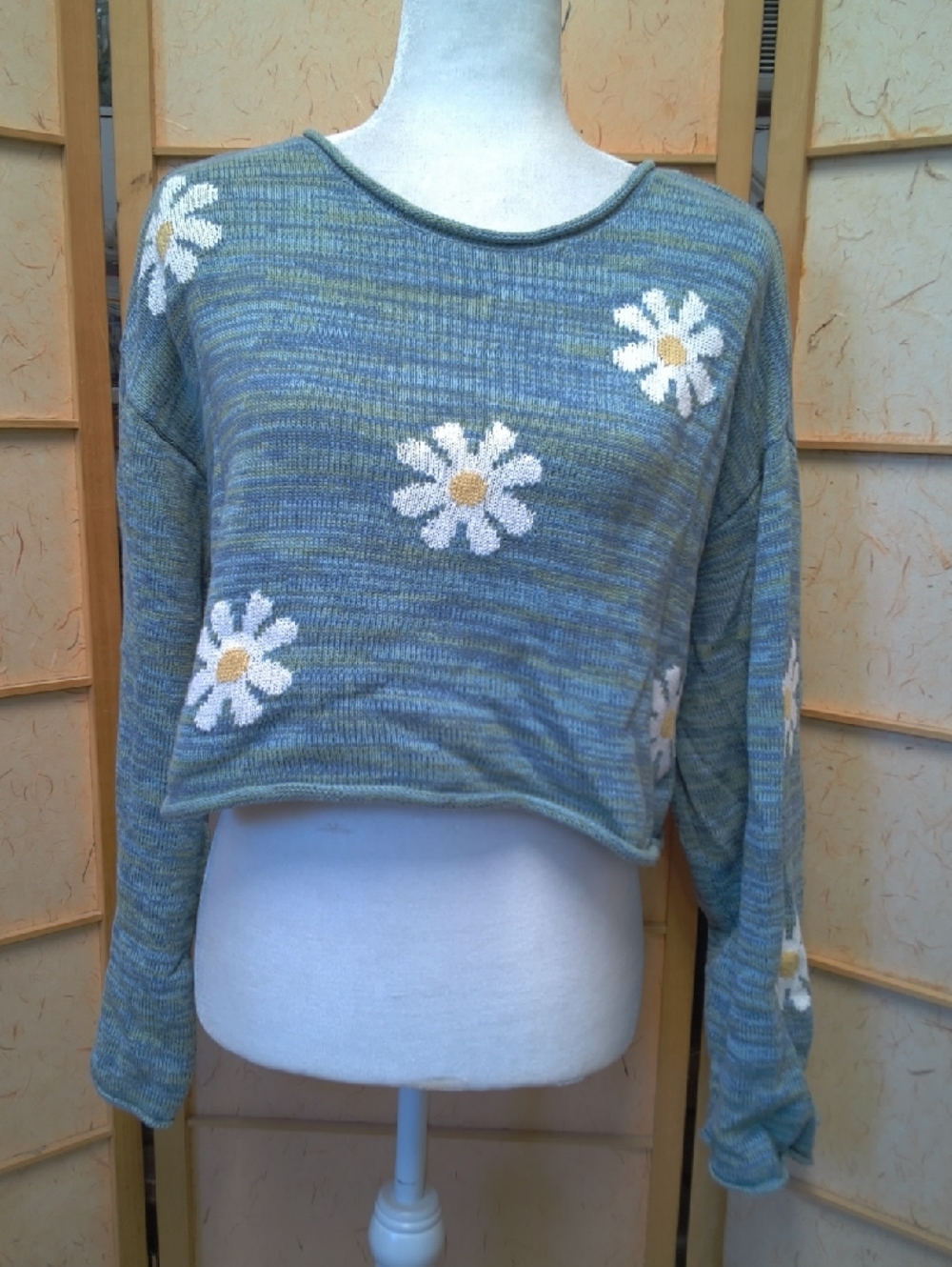 L A Hearts Cropped Green Striped Sweater with Daisy Appliques Size S